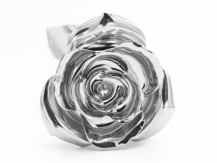 Platinum Dipped Love Rose - 2 Dealproduct image #2
