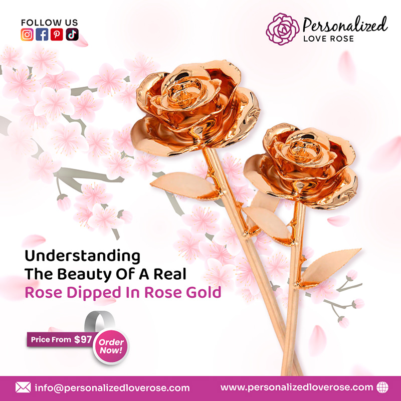 Understanding the Beauty of a Real Rose Dipped in Rose Gold