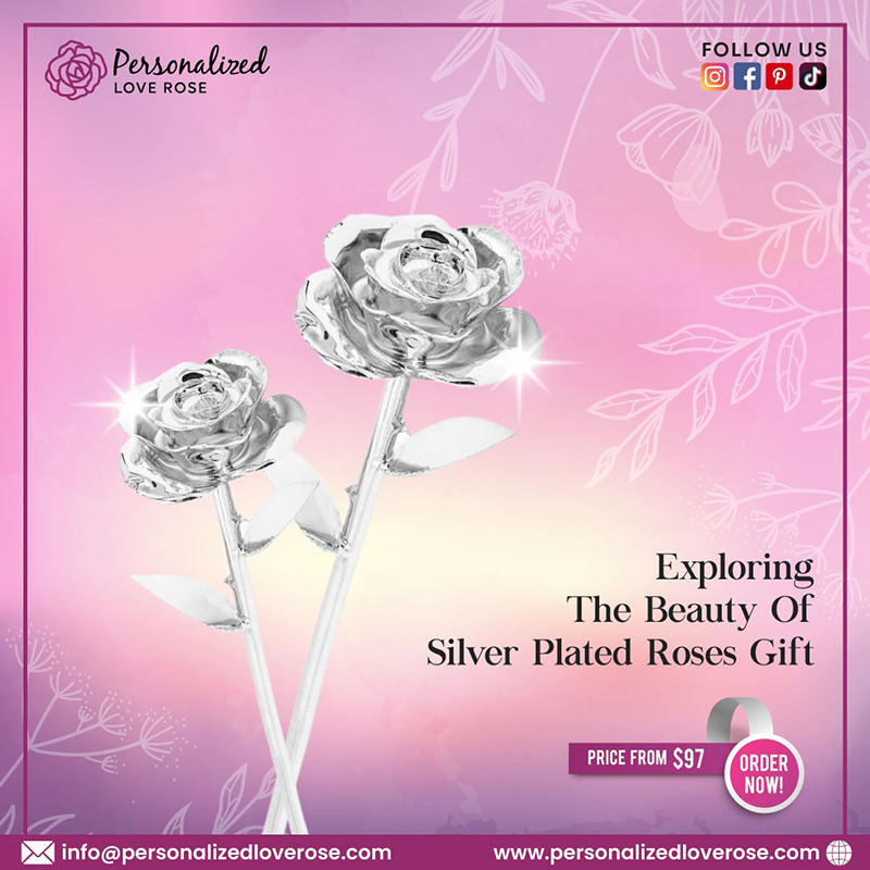 Exploring The Beauty Of Silver Plated Roses Gift