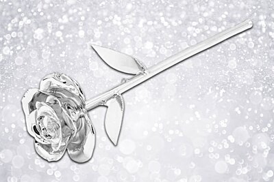 The Best Silver Wedding Anniversary Gift